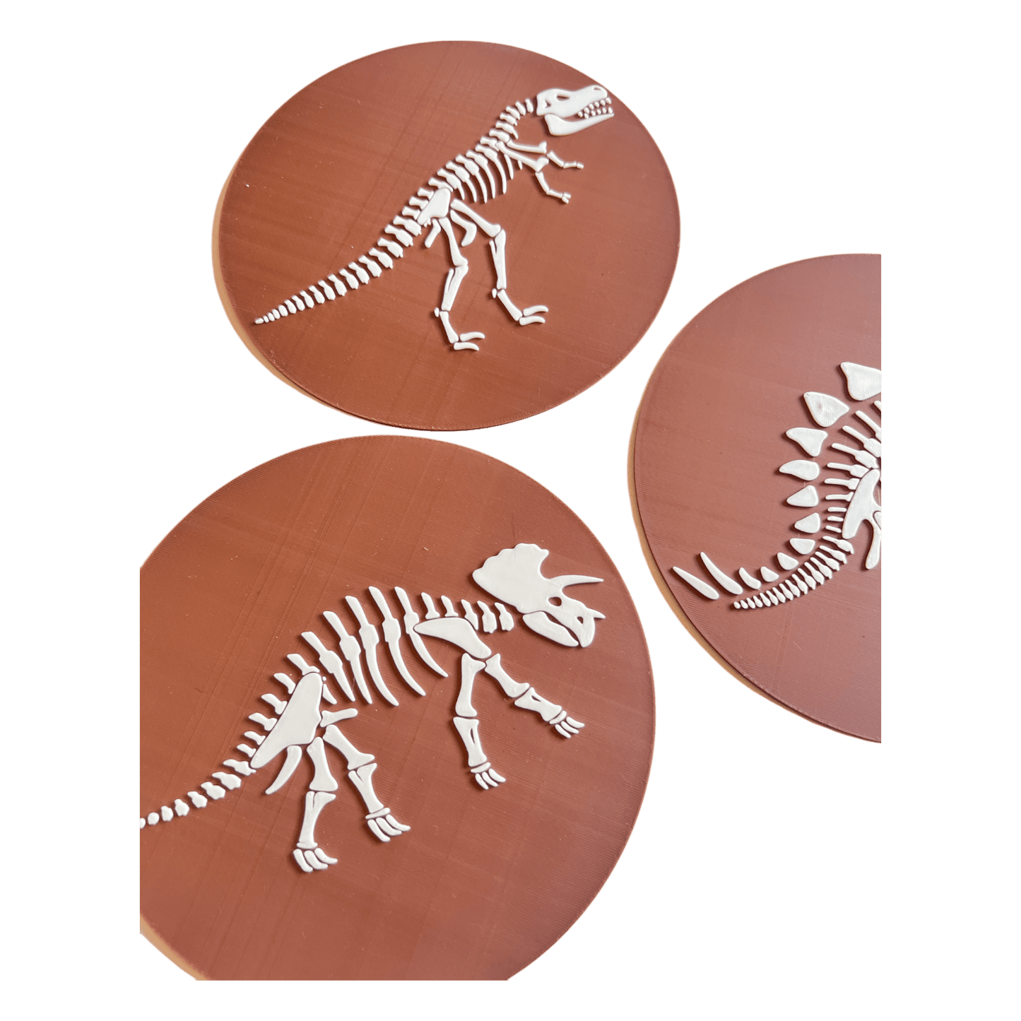 NEW - Dino Skeleton Insert Bundle (QTY 3) - CJECOPLAY Inc.