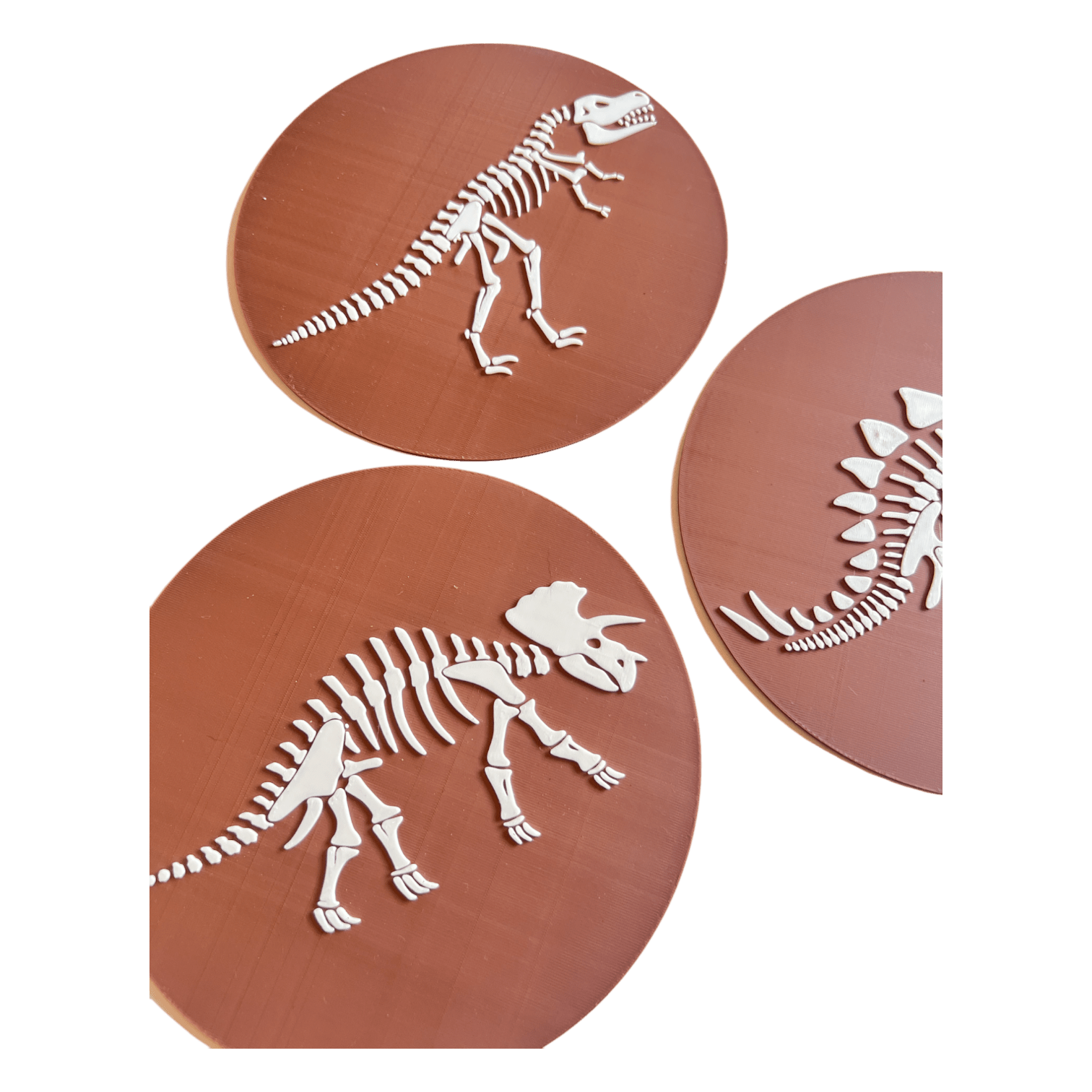 NEW - Dino Skeleton Insert Bundle (QTY 3) - CJECOPLAY Inc.