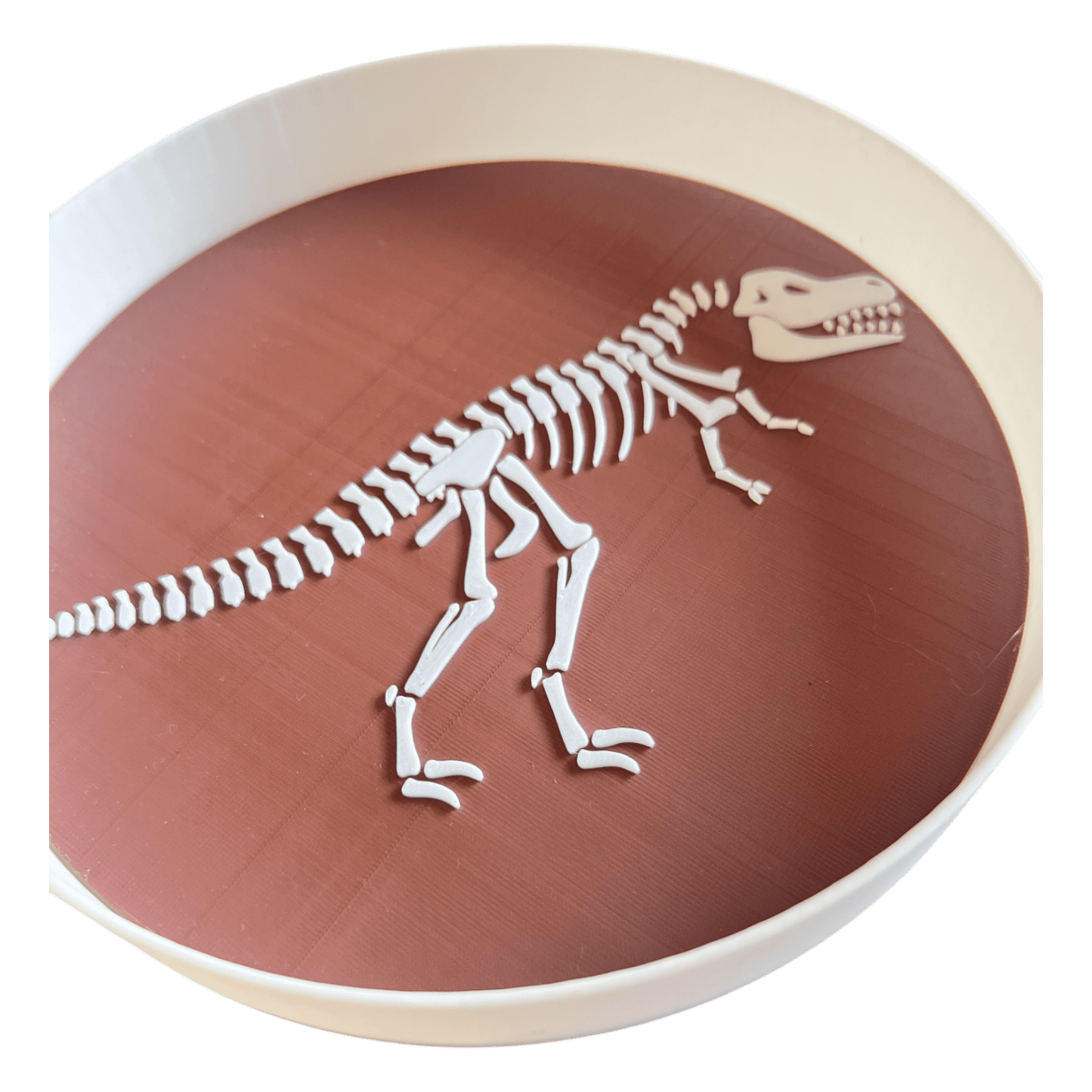 NEW - Dino Skeleton Insert Bundle (QTY 3) - CJECOPLAY Inc.