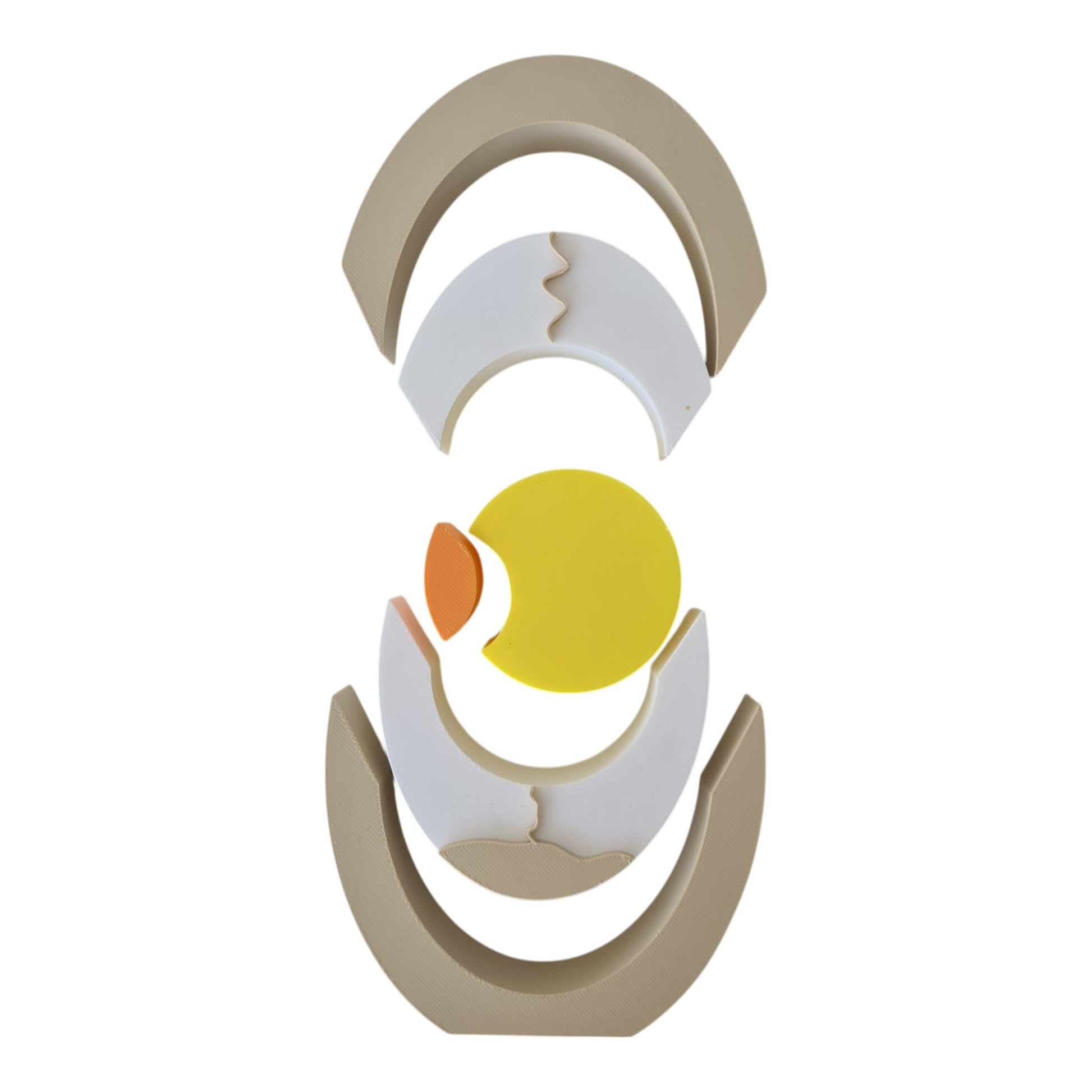 NEW - Egg Anatomy - CJECOPLAY Inc.