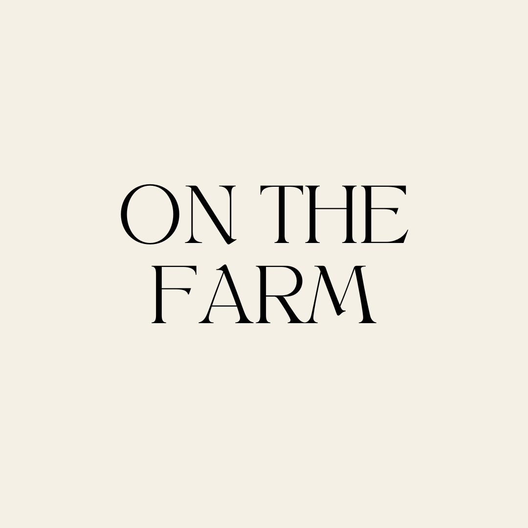 Farm Theme Collection - CJECOPLAY Inc.