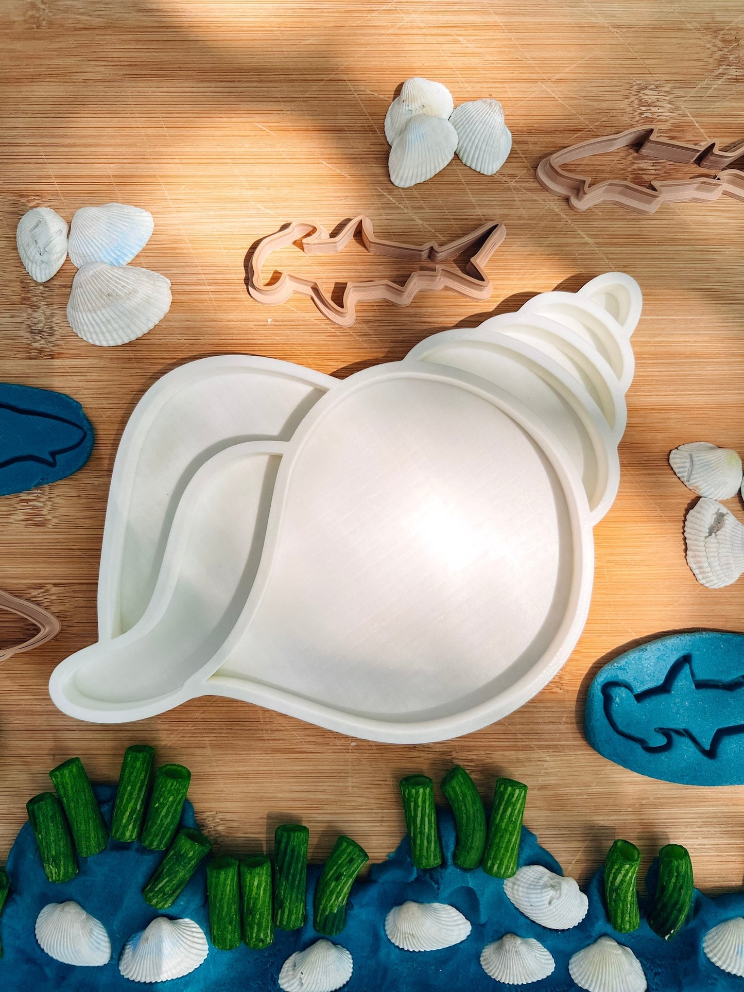 Conch Shell EcoTray - CJECOPLAY Inc.