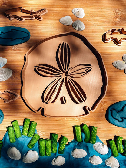 Sand Dollar EcoTray - CJECOPLAY Inc.